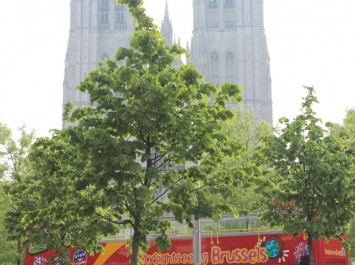 St Goedele Cathedral